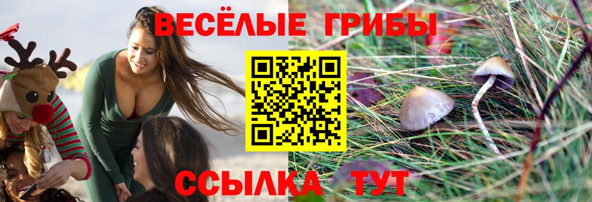 Галлюциногенные грибы Magic Shrooms Сергиев Посад